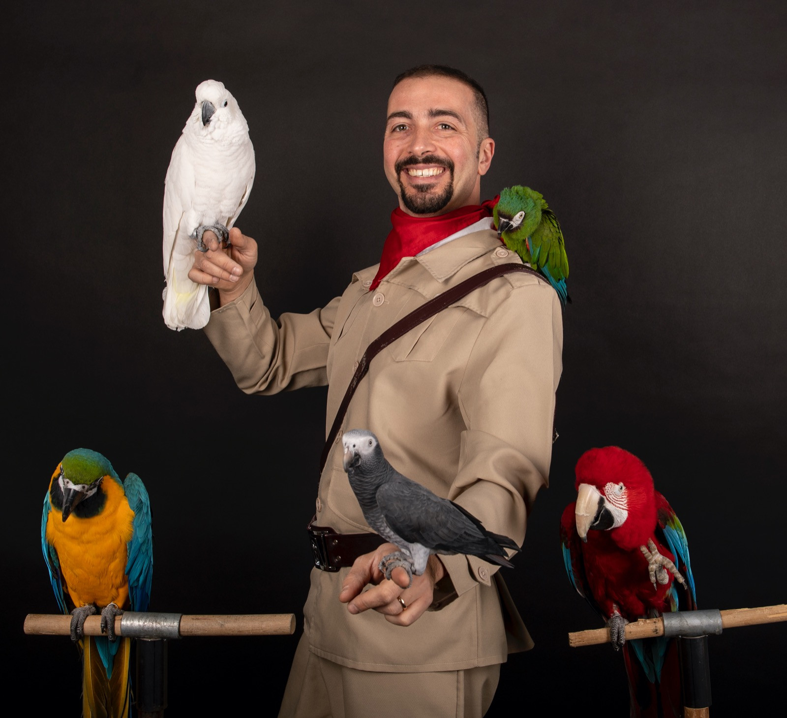 Spettacoli per famiglie: intrattenere grandi e piccini con la magia di scena